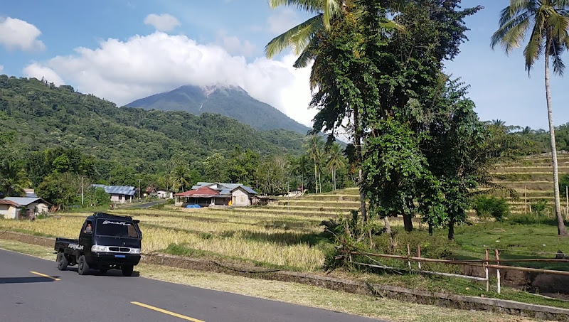 Sawah gako boawae