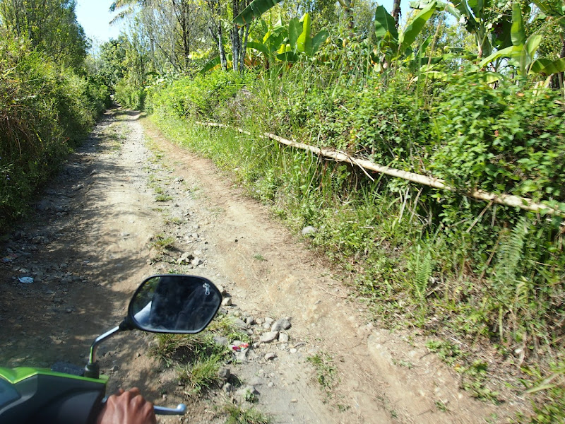 Tiu Teja