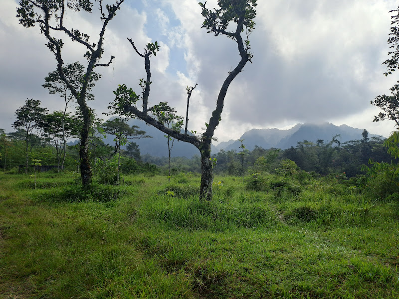 Lapangan Tritis Turgo