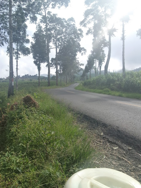 Curug cipangisikan