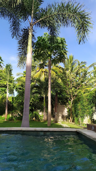 Shu Villa