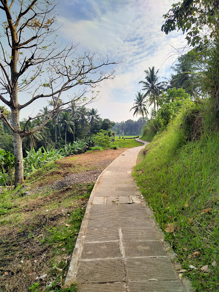 Jogging Track Penarungan