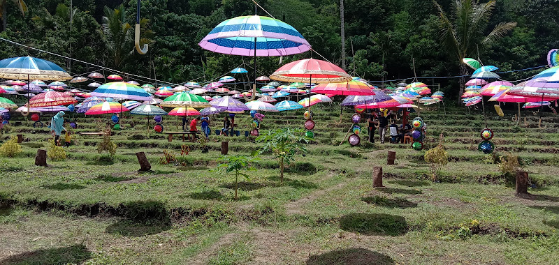 Taman Bunga Pemuda Demokrat Desa Tublopo