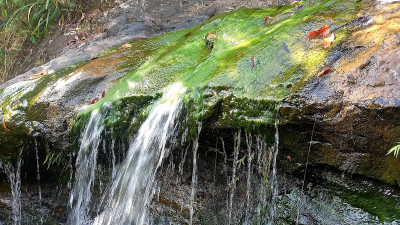 Air terjun Cunca Plias waterfall
