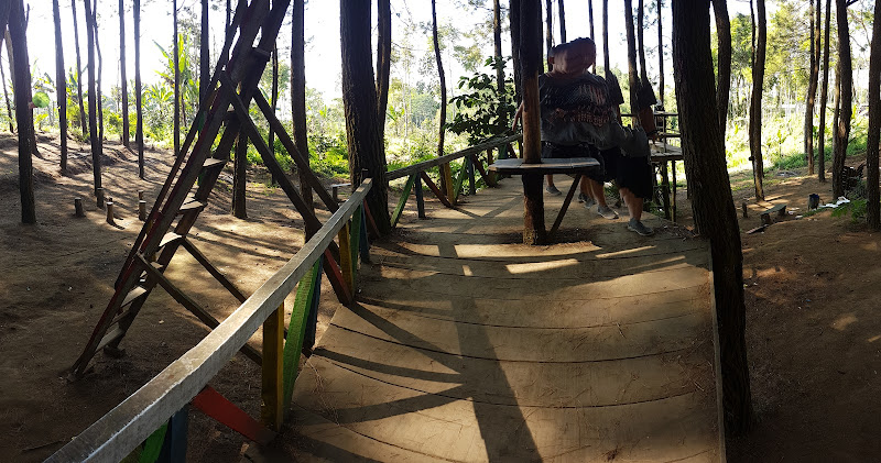 Perhutani Precet Lereng Gunung Kawi