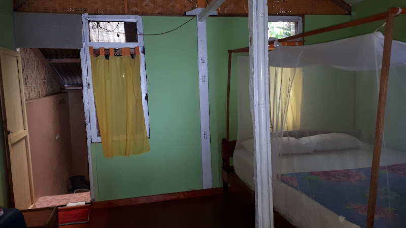 Lena House Flores