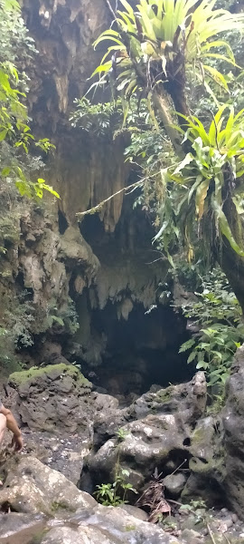 Werwitu National Park