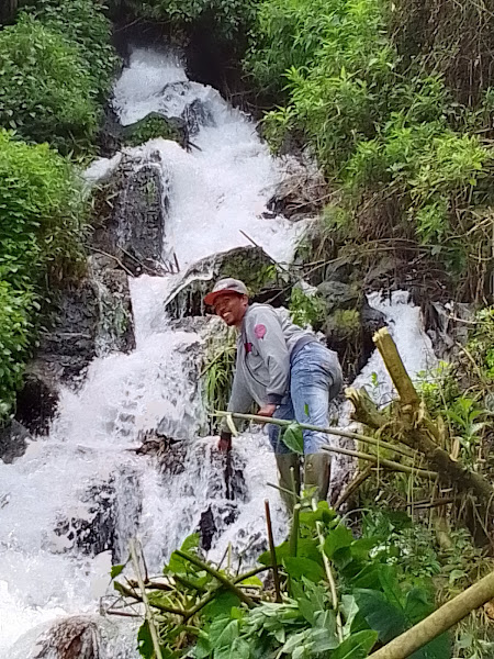 Curug cipangisikan