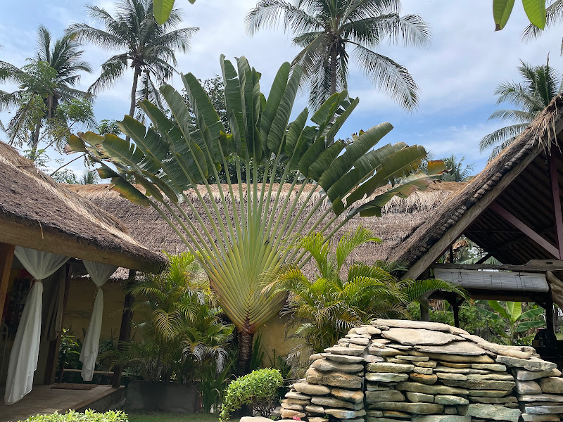 Dolcemare Resort