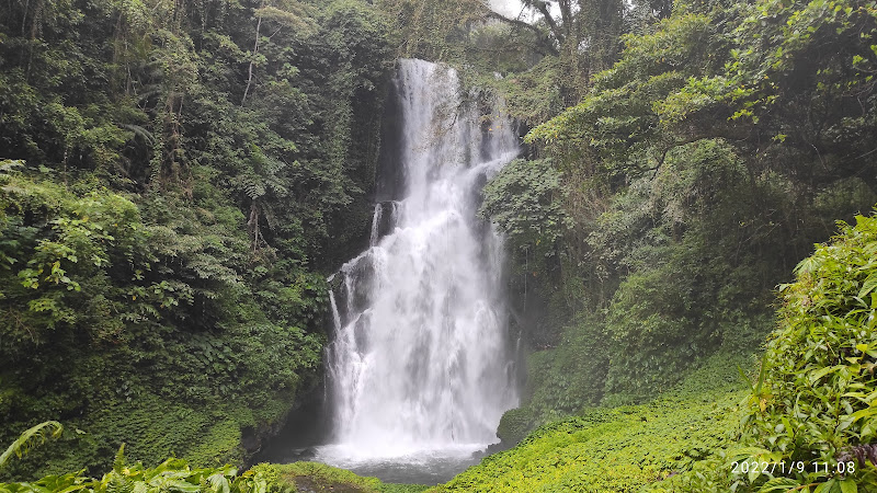 Air Terjun Cemara