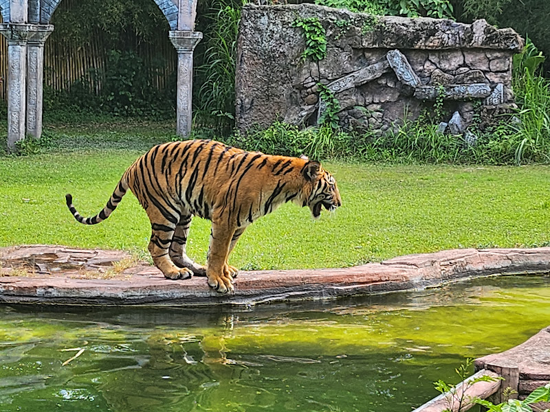 Taman Safari Bali