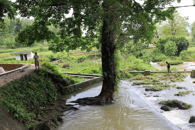 Bendungan Waikelo Sawah