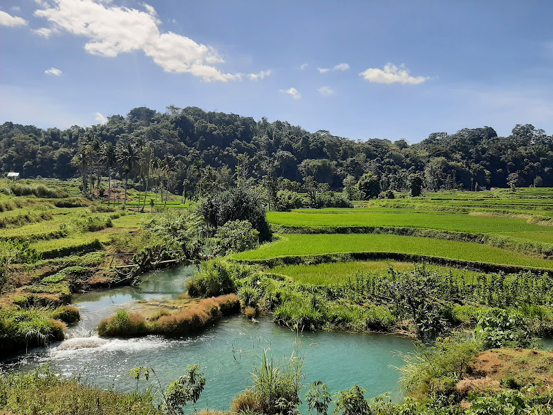 Bendungan Waikelo Sawah