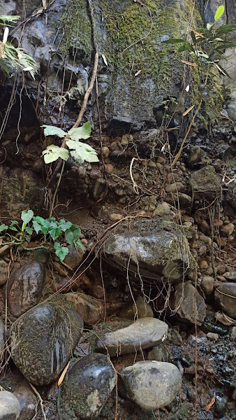 Curug Dago
