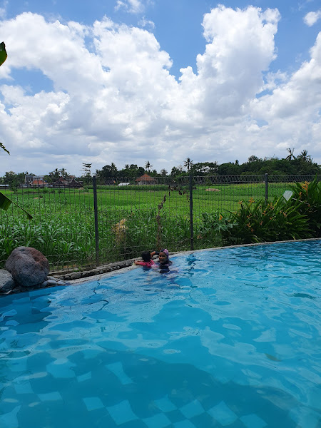 Rumah Tembi ( Tembi Rumah Budaya)