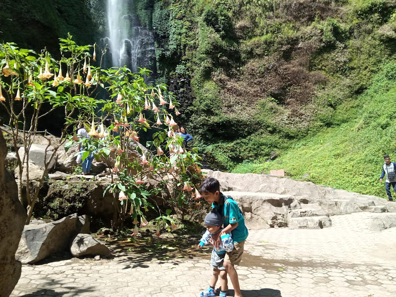 Air Terjun Coban Rondo Pujon