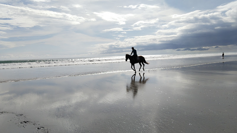 Mesari Stables in bali at seminyak beach