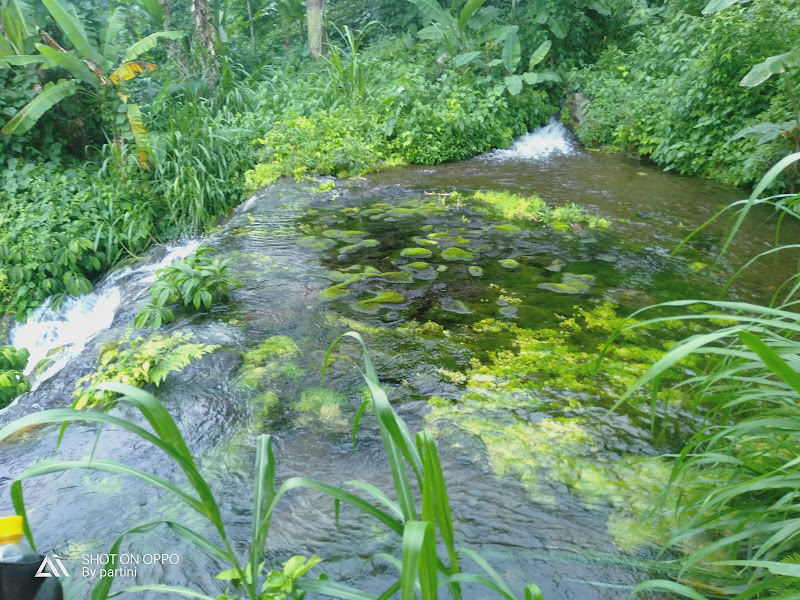 Tirta Buana Waterfall