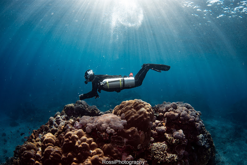 Trident Dive Indonesia
