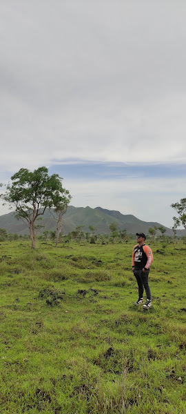 Gunung Kerbau