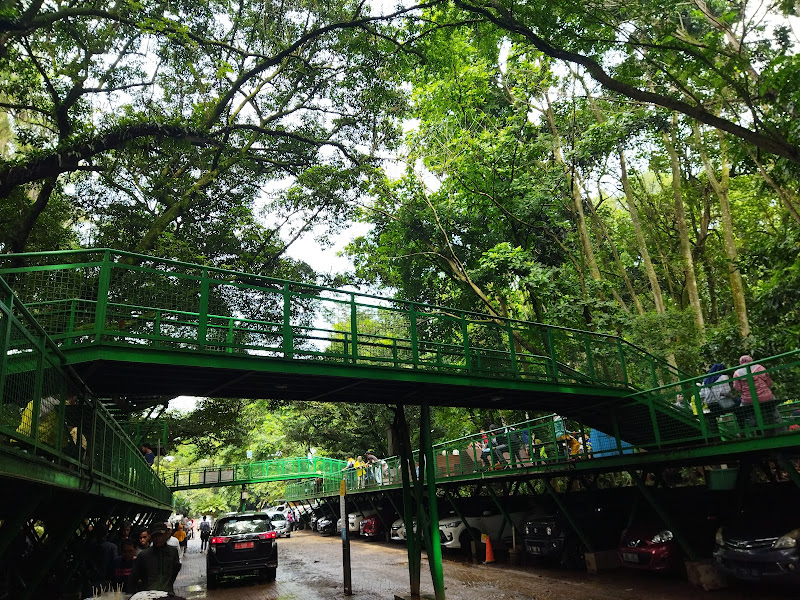 Jalur Hutan Kota Babakan Siliwangi Bandung