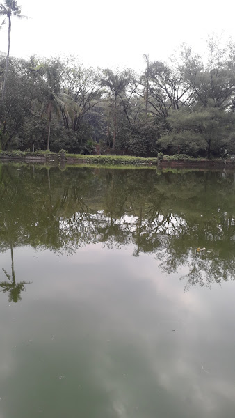 Kolam Pemancingan,taman Wisata Lembah Dieng