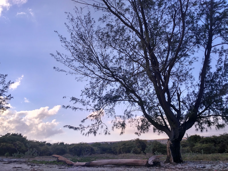 Pantai Puru Kambera