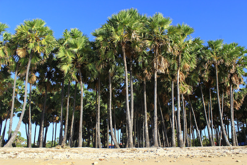 Batu Nona Beach