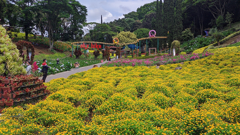 Taman Rekreasi Selecta