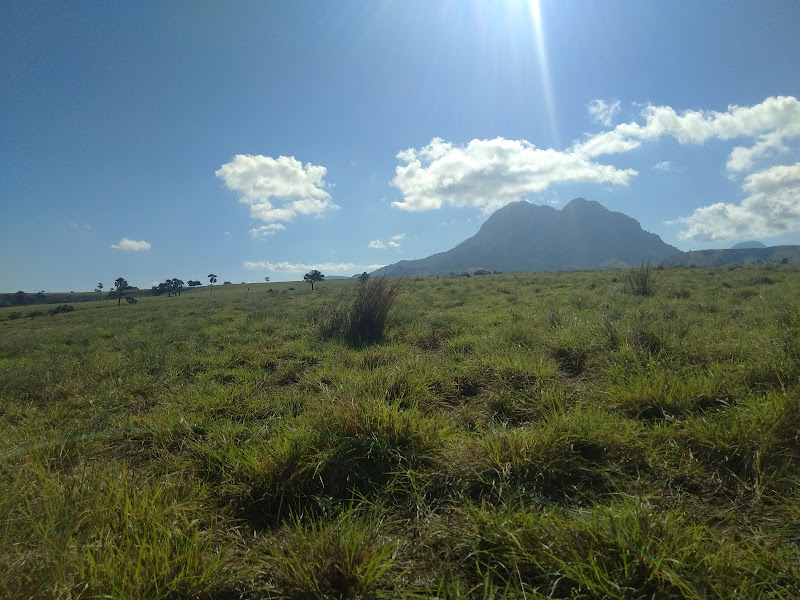 Padang Savana Mausui