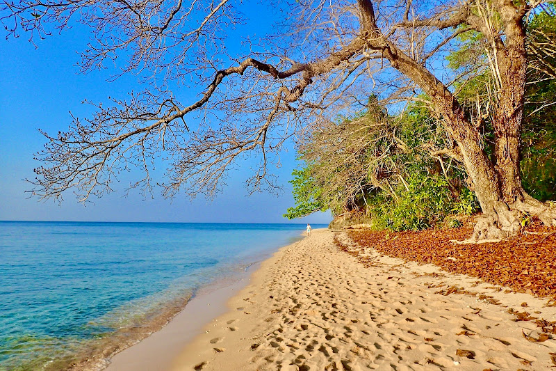 Beach Hotel in Hatta Island : accommodation guesthouse & homestay diving the Banda Neira Islands