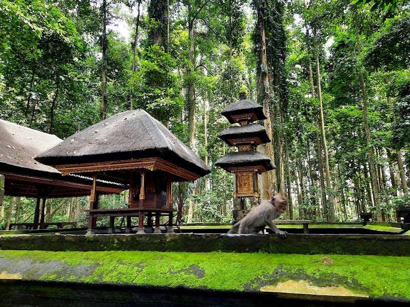 Objek Wisata Sangeh