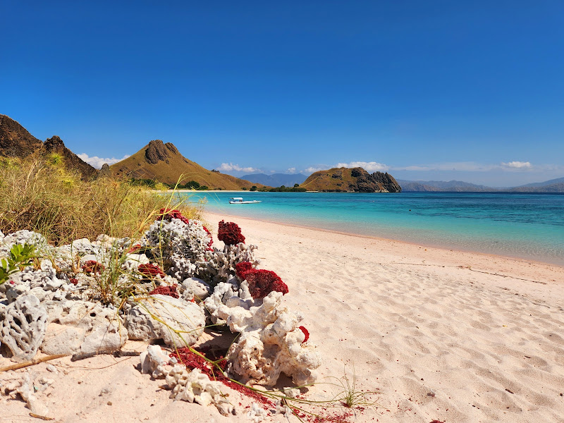 Pink Beach