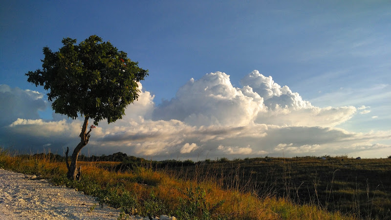 Bukit Lendongara
