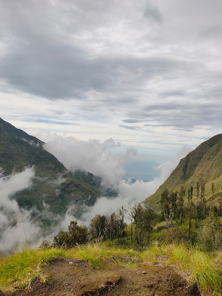 Anak gunung rinjani