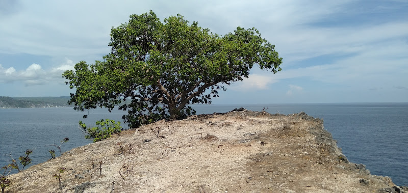 Pantai Dombo