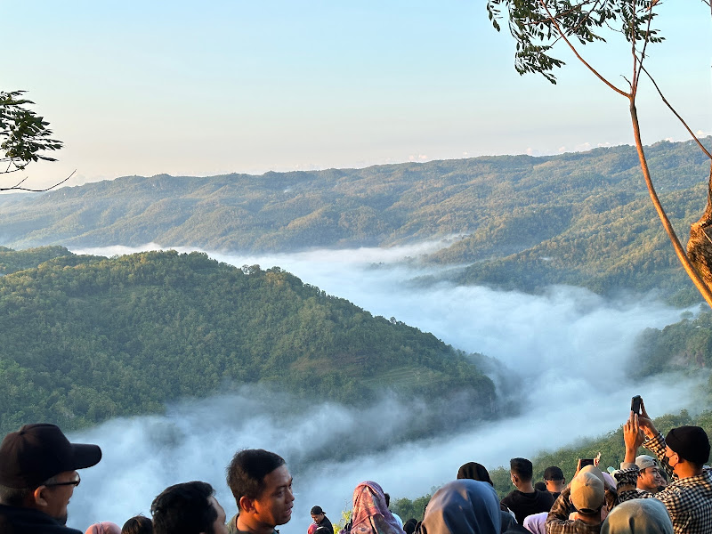 Taman Buah Mangunan