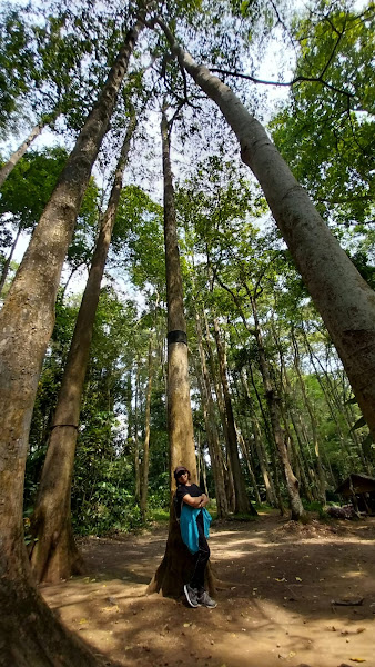 Taman Hutan Raya Ir. H. Djuanda