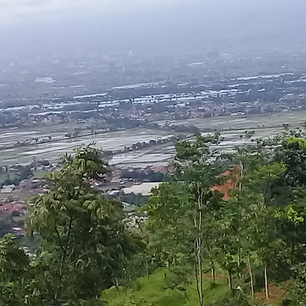 Curug akub