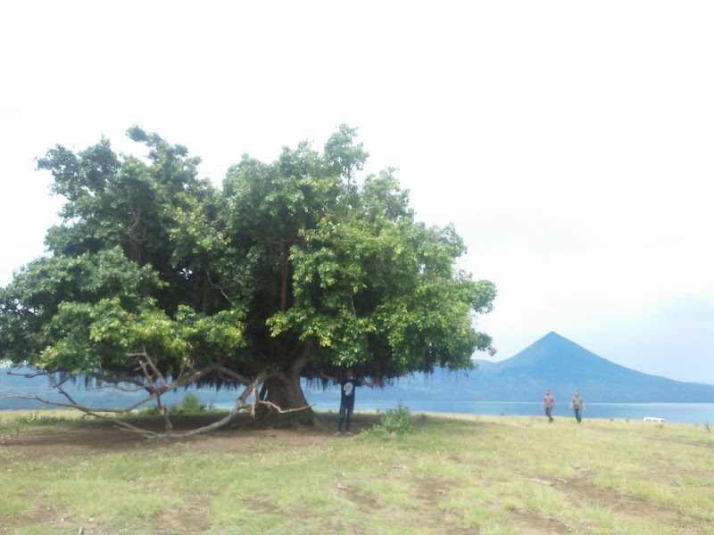 Padang Savana Mausui