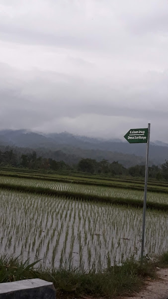 Kebon IRUP