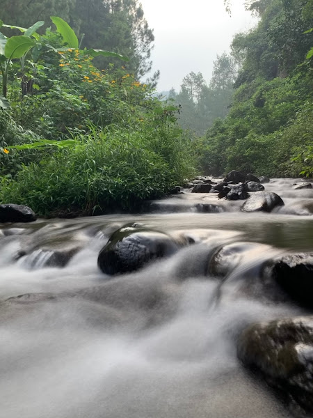 puncak bukit yang datar bedengab