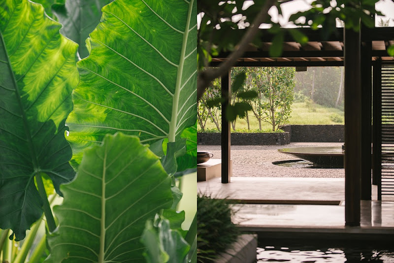 Soori Bali