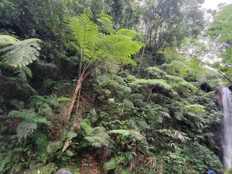Curug Sadim