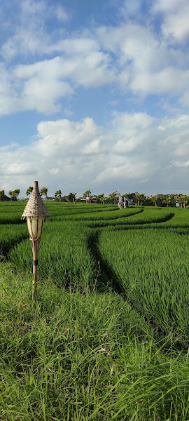 Uma Desa Canggu