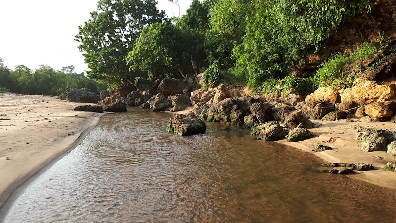 Toko taman ayu nganteb (TAN)