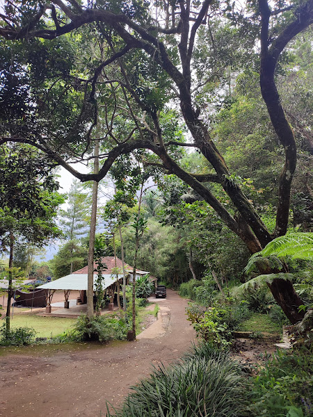 Kampung Bamboo