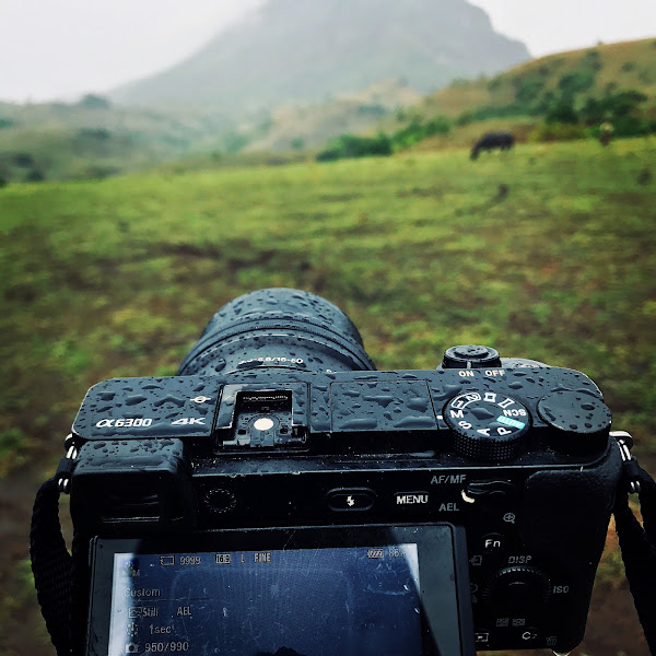 Padang Savana Mausui