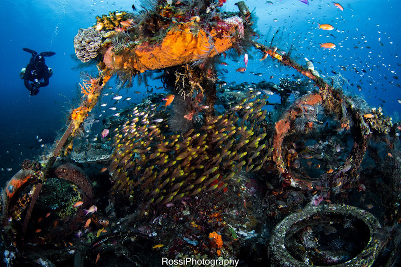 Trident Dive Indonesia