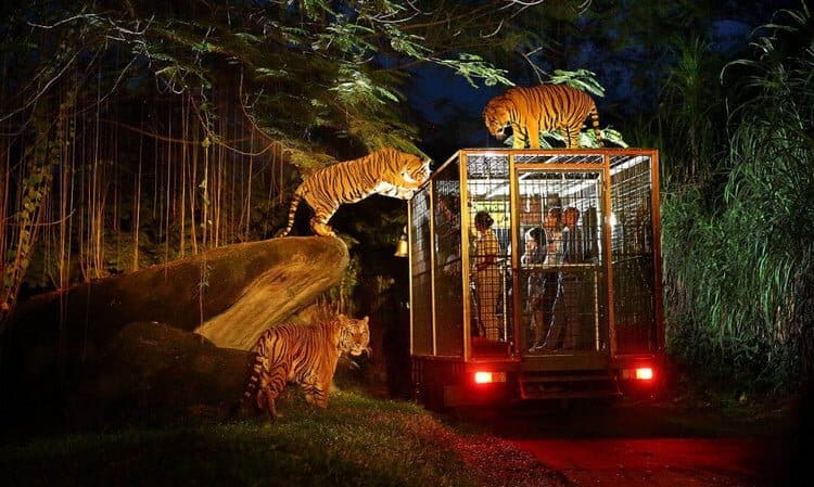 Taman Safari Bali